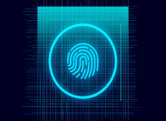 Embedded fingerprint